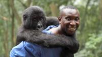 virunga 2