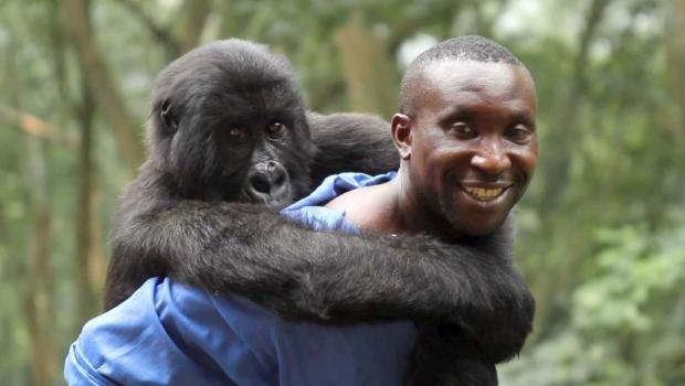 virunga 2